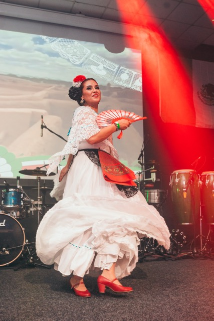 dsc00504 medium.webp