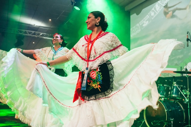 dsc00611 medium.webp