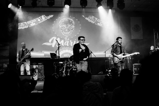 dsc01965 medium.webp